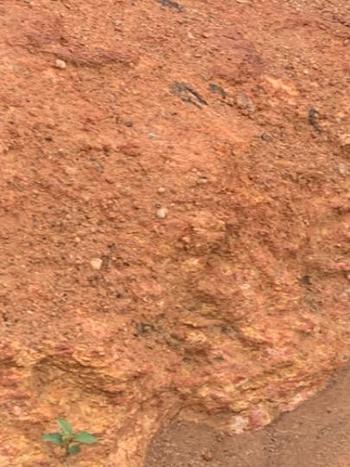 6025347946, transgender escort, Phoenix